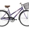 FOXX 28" FIESTA 20" Purple