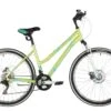 Stinger 26" Latina D 17" Green