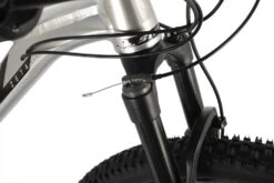 Stinger 29" Zeta Evo 20" Silver (2021) -Swix kauppa 6187 6087cb510c0db6.97219009 29ahd.zetaevo.20sl1 5b dd1kgrmwfpyd3gvw