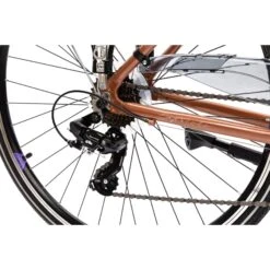 ELEGANCE LADY -bronze-V Brake, 18" -Swix kauppa 7760 63ee30d31d93c9.50434911 919605 08 wddvzzltc32tdmfe