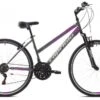 TREK SUNRISE L 28"/18HT Silver-pink, 19"