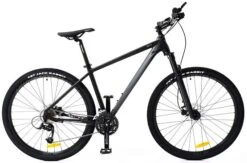 Bike Welt Rockfall 2.0 29 2022 Matt Black 22"