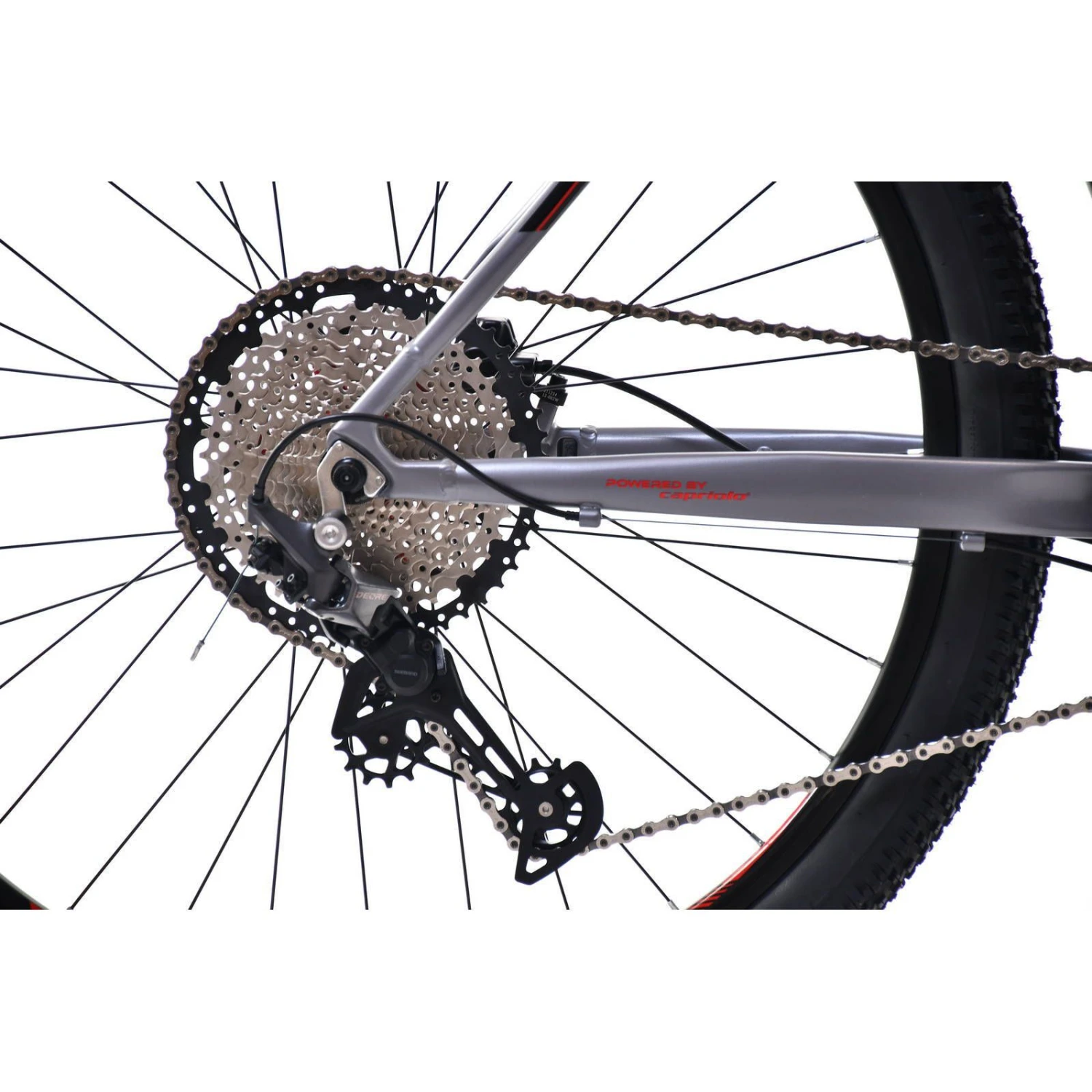 MTB AL PHA 9.7, 29'', Grey Mica 5 MTB AL PHA 9.7, 29'', Grey Mica - Image 5